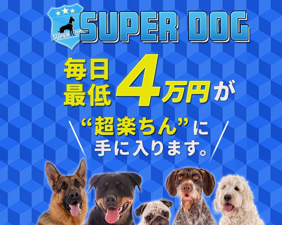 スーパードッグ(SUPER DOG)